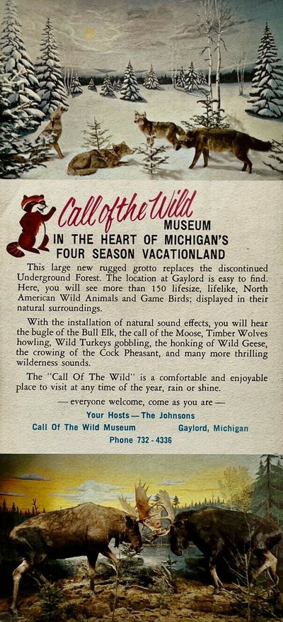 Call of the Wild - Old Promo (newer photo)